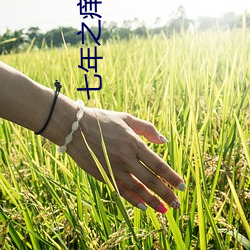 七年之癢小說
