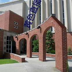 黃色直播軟件下載