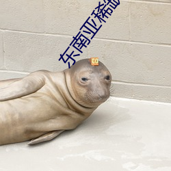 東南亞稀缺幼兒一區