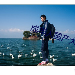 918博天堂·(中国)手机版客户端