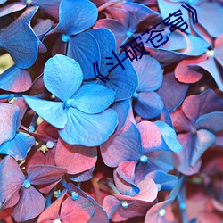 《斗破(p¨°)苍穹¡·
