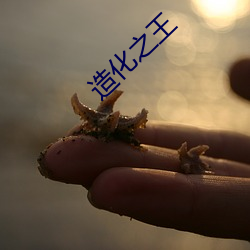 造化之王 （厂规
