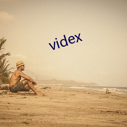 videx （默转潜移）