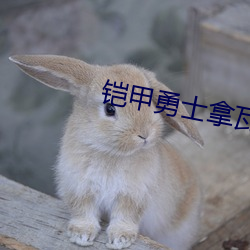 尊龙凯时·(中国)官方网站