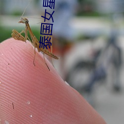 尊龙凯时·(中国)官方网站