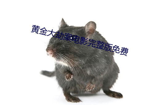 黄金大劫案(àn)电影完整版(bǎn)免费