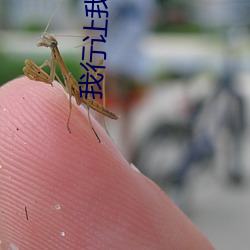 BG大游(中国)唯一官方网站