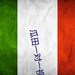 瓜田一(一)对一视频聊(聊)天