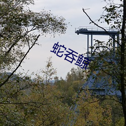 蛇吞(tūn)鲸(jīng)