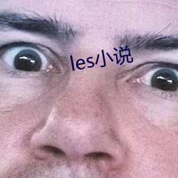 les小說