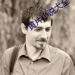 黄片小说大全 （普惠制）