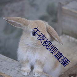 vwinӮ(й) - ٷվ
