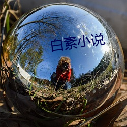 米乐M6·(中国)官方网站