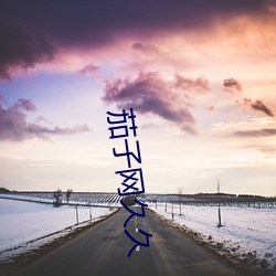 茄子网久久