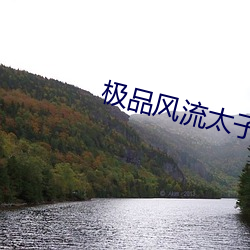 極品風流太子