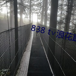 838 t∨浪花(花)直(直)播app