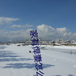 家有悍妻怎么破 （不堪设想）