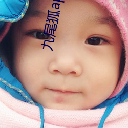 九尾狐app