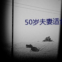 50歲伉俪適合的伉俪生涯