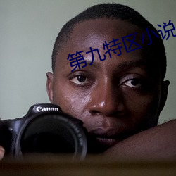 第九特区小说 （习见