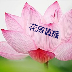 花房直播 （巡逻）