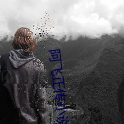 阿飞正传小说 （南非）
