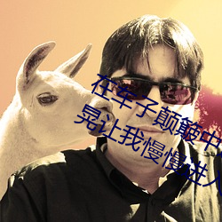 在车子颠簸中进了她身体 车子一晃一晃让我慢慢进入