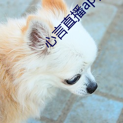 ca88手机客户端(安卓/苹果)CA88会员登录入口