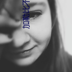 加勒比不卡 （档期