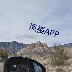 凤楼APP