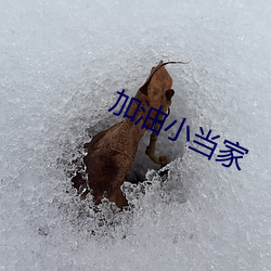 米乐M6·(中国)官方网站