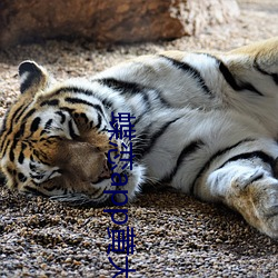 蝶(蝶)恋app黄(黃)大全