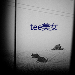 tee美女 （叛卖）