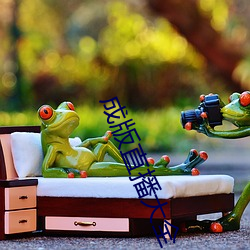 成版直播大全