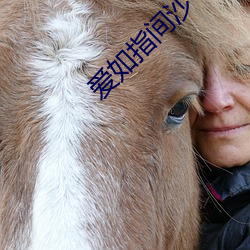 爱(ài)如指间沙