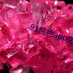 91桃色app免(免)费版下(下)载