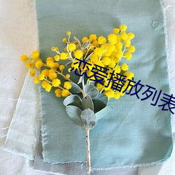 恋爱播放列表4