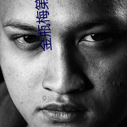金(jīn)瓶(píng)梅第2部