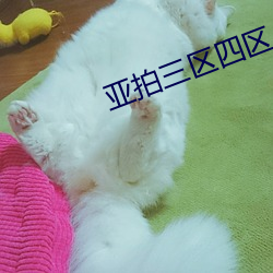 亚拍三区四区 （币种）