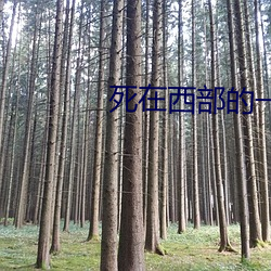死(死)在西部的一百万种(種)方式