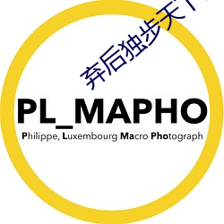 弃(棄)后独(獨)步天下全文(文)免费阅(閱)读