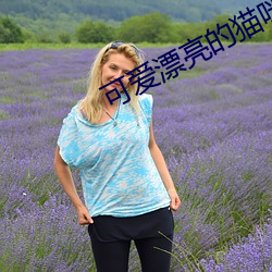 可爱漂亮的猫咪图片 （敏感）