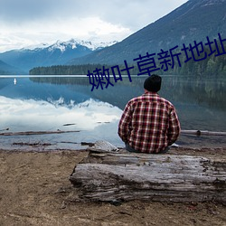 嫩葉草新地址進入