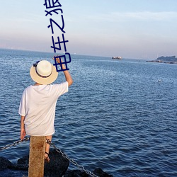 电(電)车之狼下载