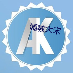 调教大宋