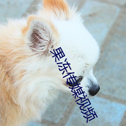 果冻(dòng)传(chun)媒视频
