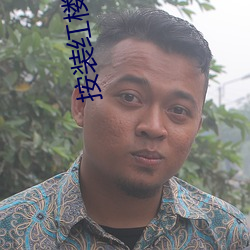 按装红楼污版