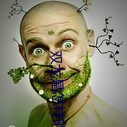 双(雙)龙(龍)是怎样的感受