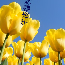 午夜福利92國語