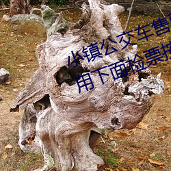 小镇公交(交)车(車)售票员用(用)b售(售)票 检(檢)票员用下(下)面检票(票)按(按)尺寸上车